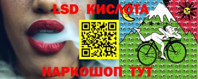 Альфа ПВП Будённовск