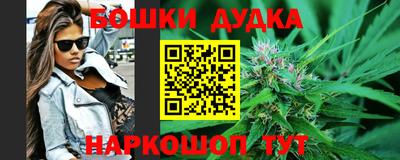 Альфа ПВП Будённовск