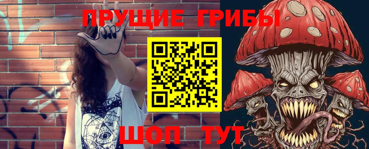 Псилоцибиновые грибы Psilocybe  Вход с VPN  Полевской 